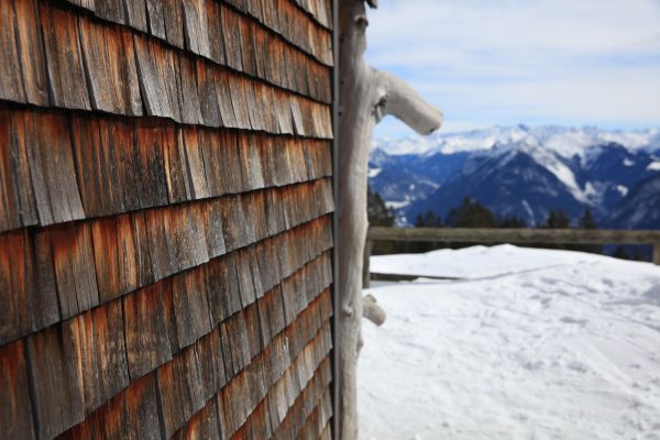 Cedar Siding Repair in Bryan