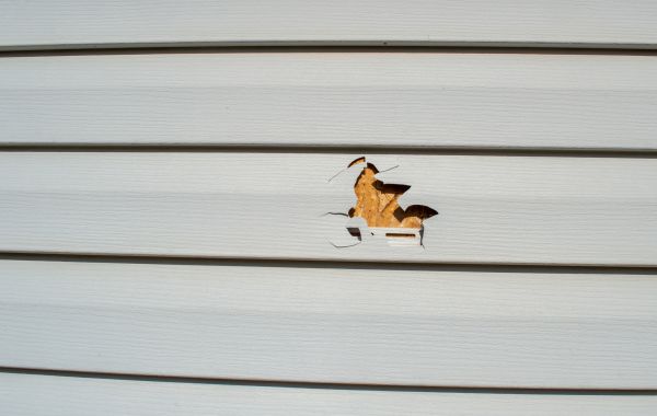 Siding Hole Repair in Bryan