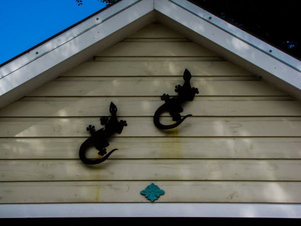 Shiplap Siding Installation in Bryan